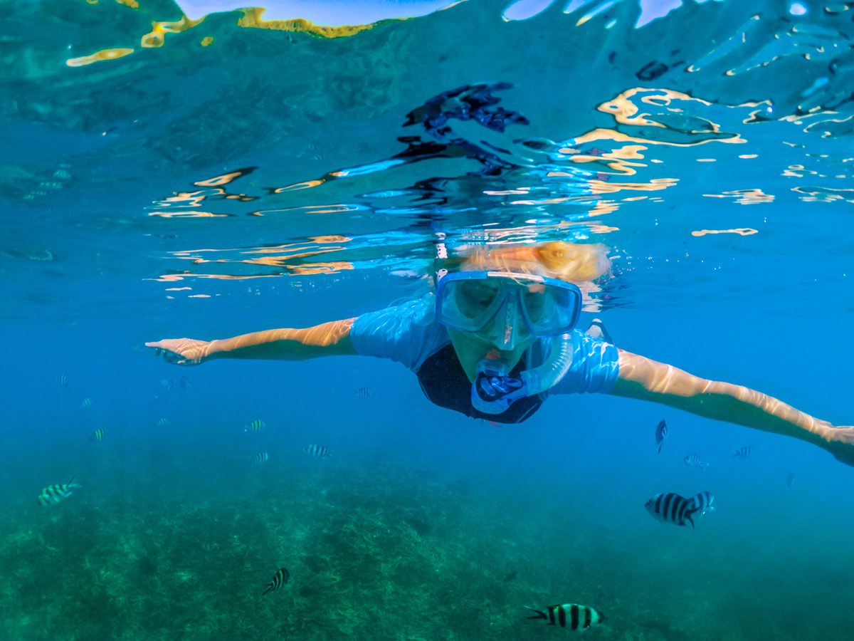 Snorkel or swim near the rocks