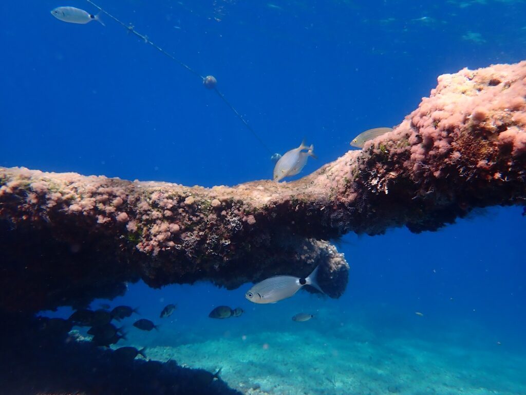 Marine reserve waters