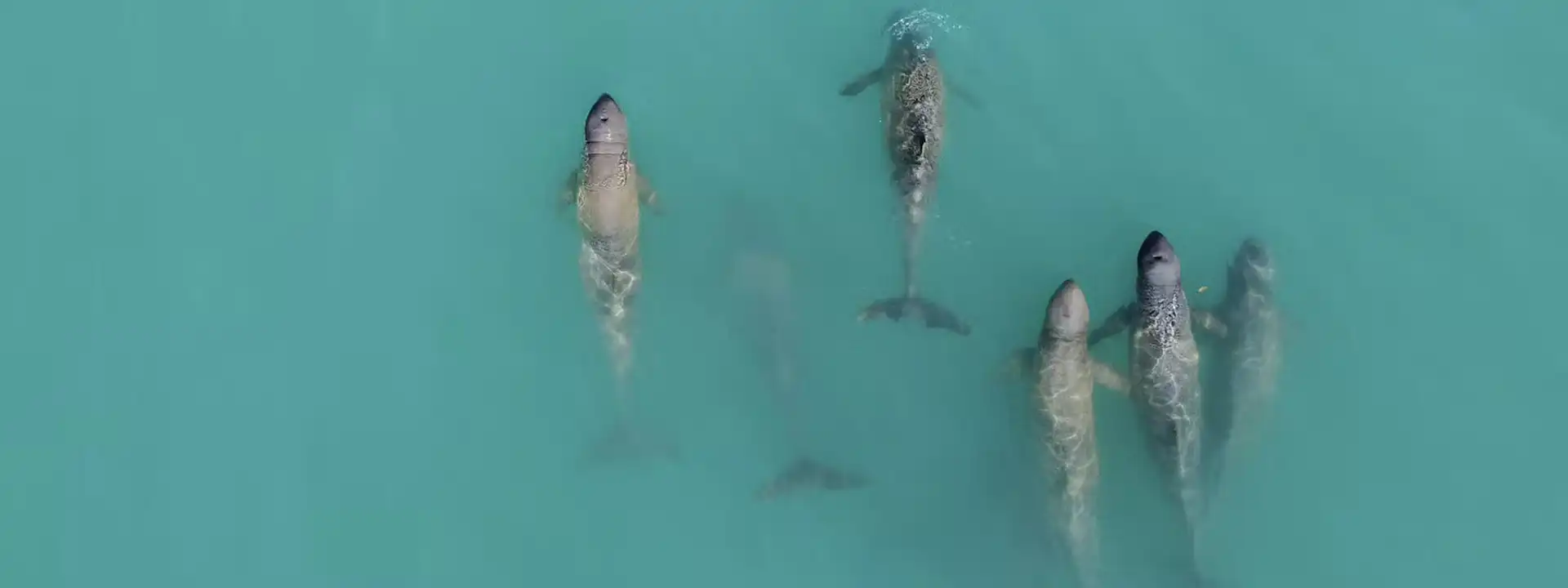 Boat Tours Broome