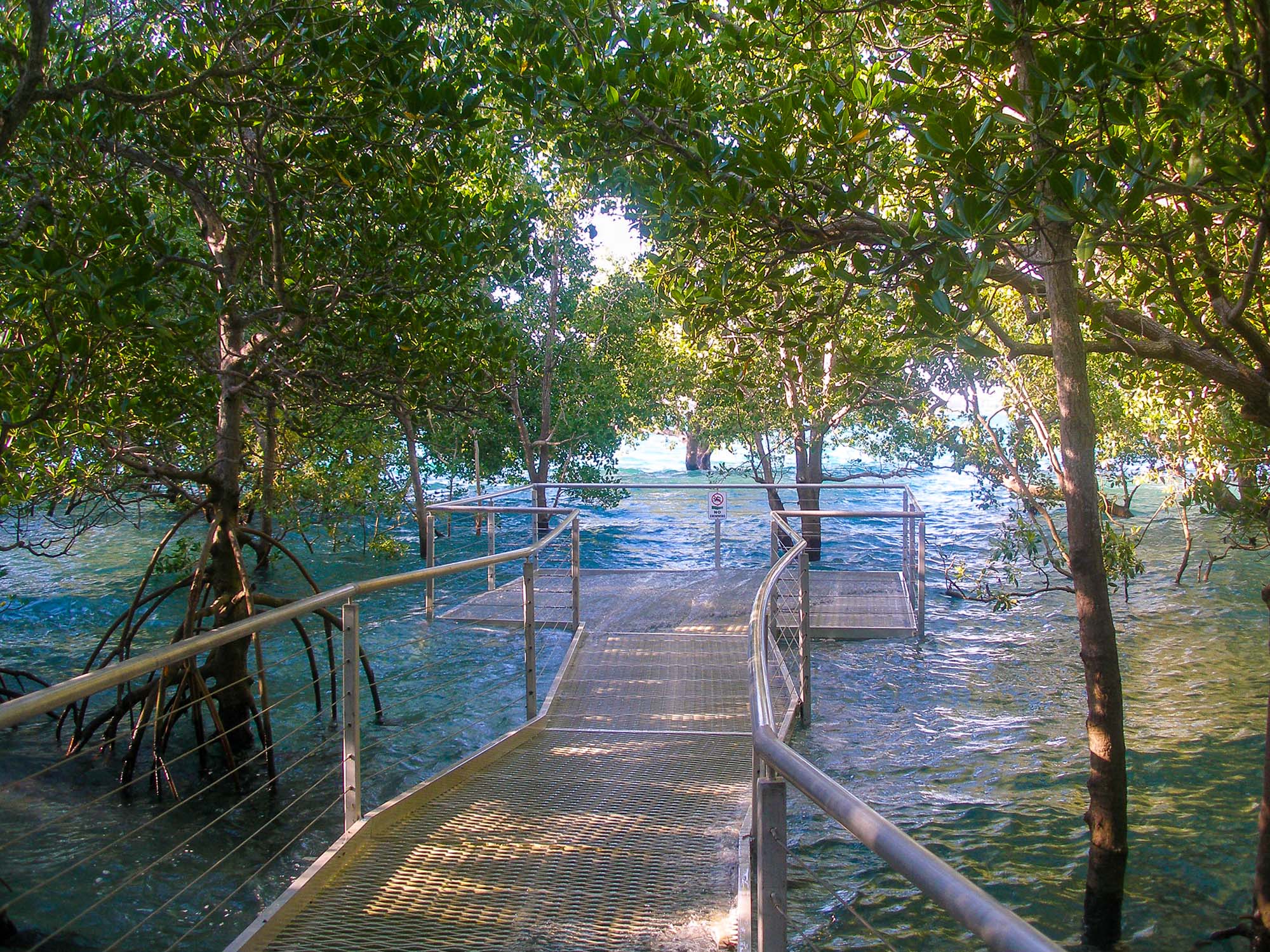 Mangrove Point
