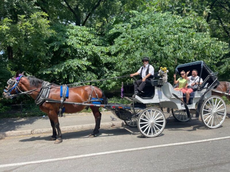 Carriage Ride in Central Park