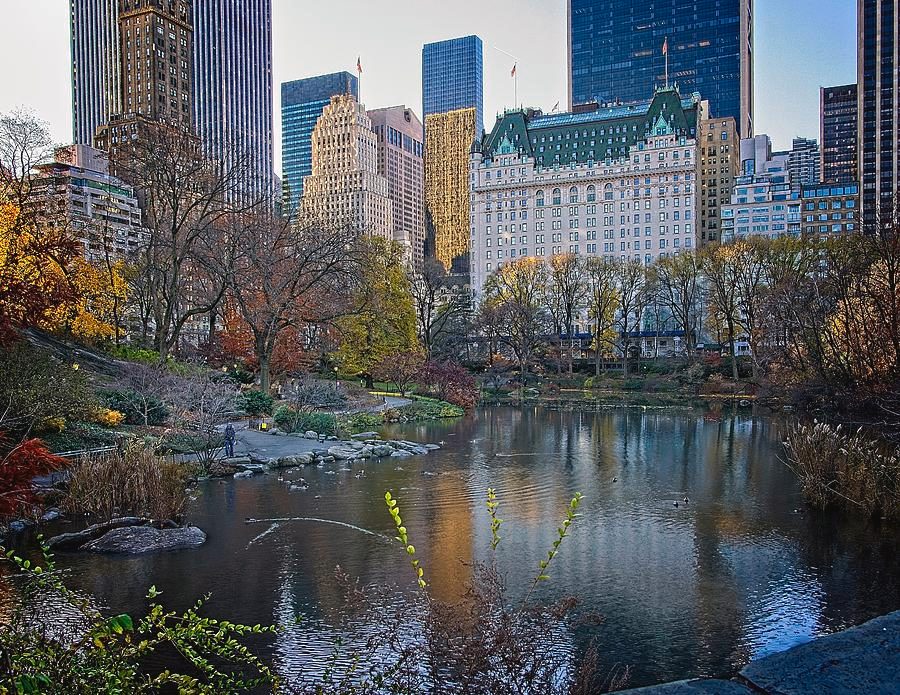 The Pond