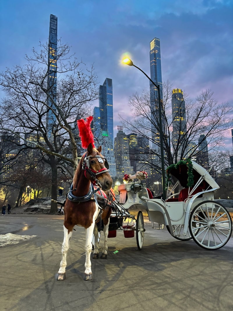 Arrive at carriage stand
