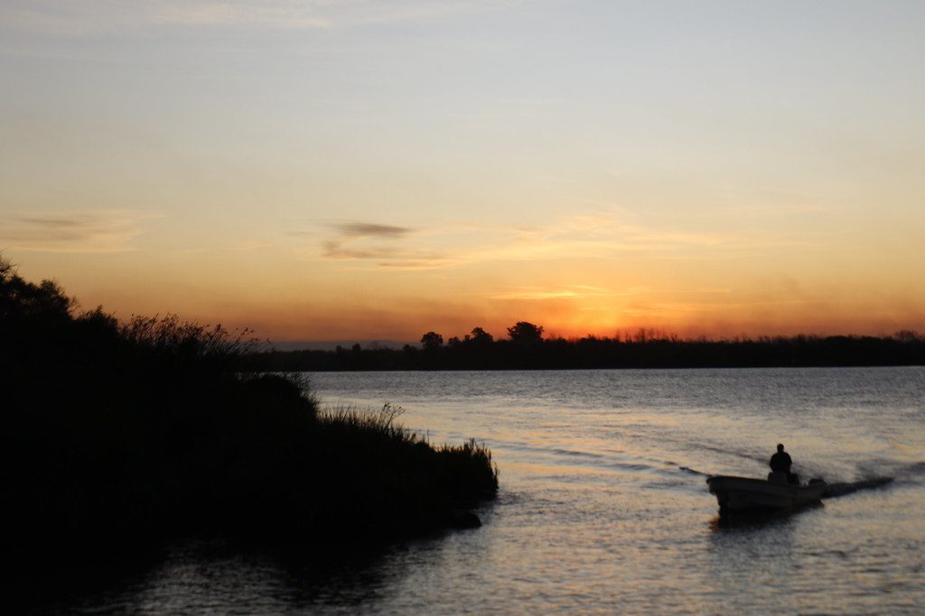 Parana de las Palmas Bend