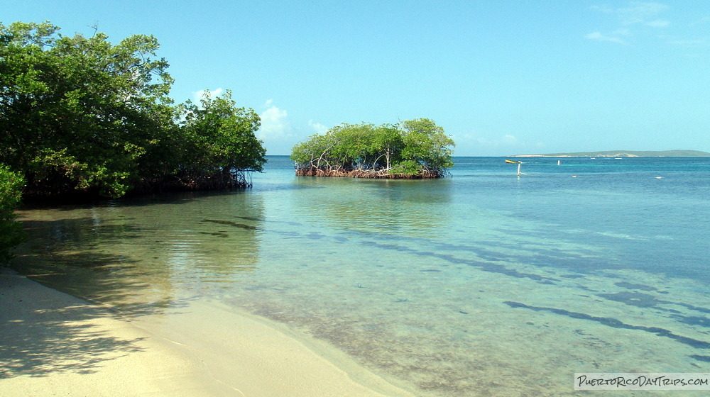 Gilligan's Island