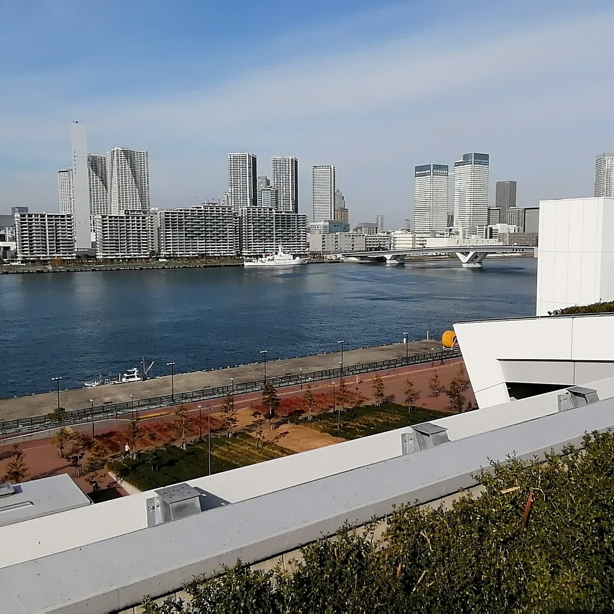 Rooftop Garden