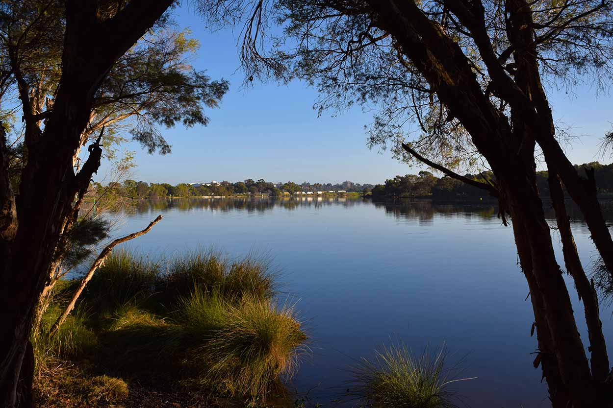 Riverbank Waterline