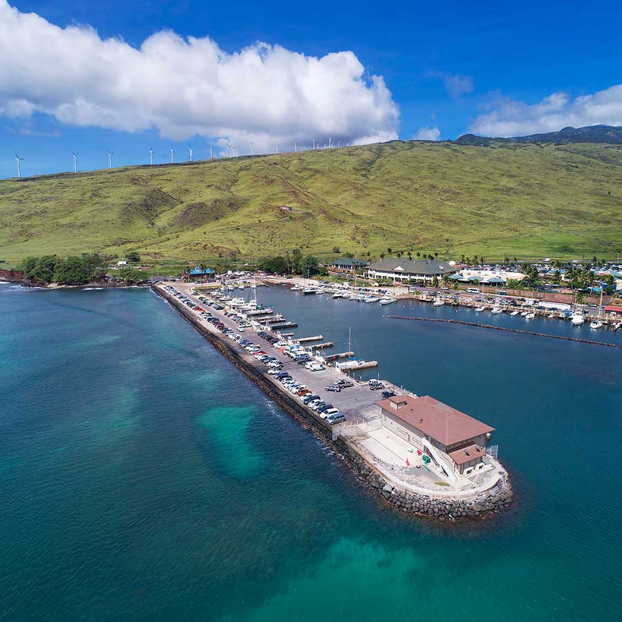 Harbor check-in