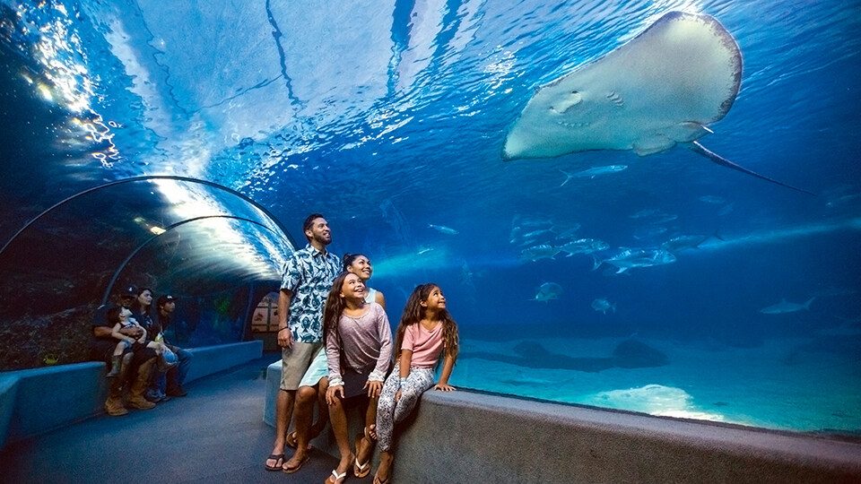 Maalaea Ocean Center