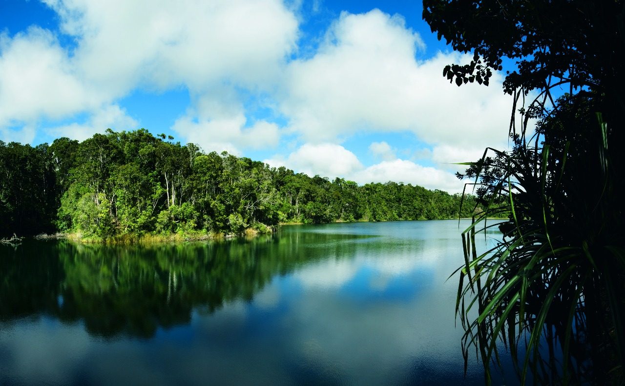 Lake Barrine