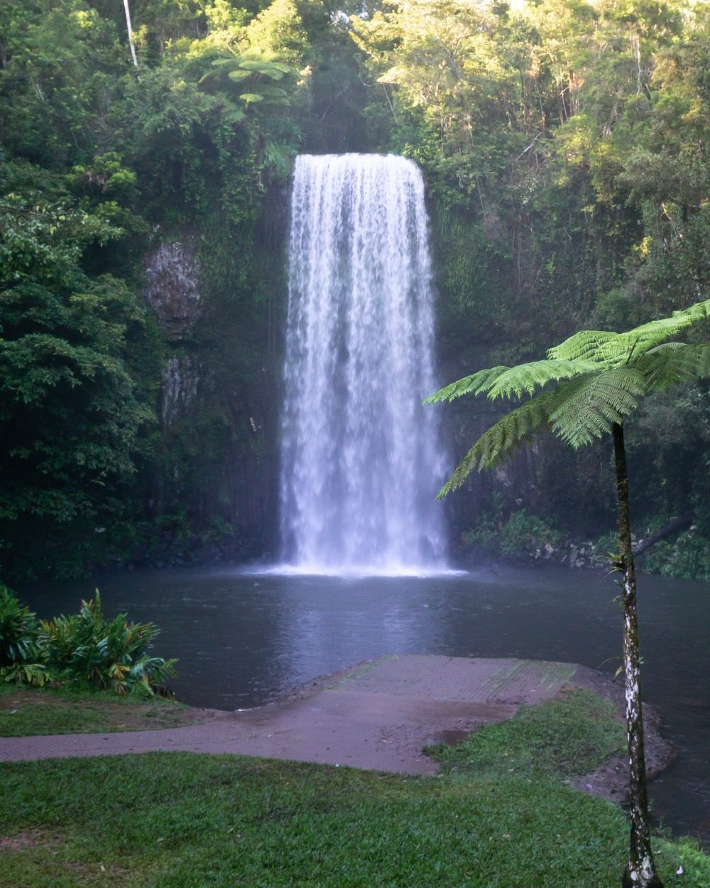 Millaa Millaa Falls