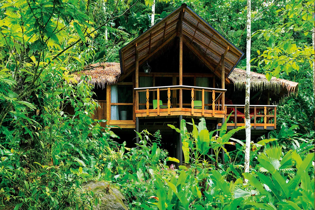 Luxury Rainforest Retreats