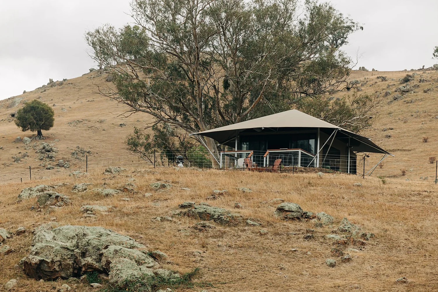 Budget Motels