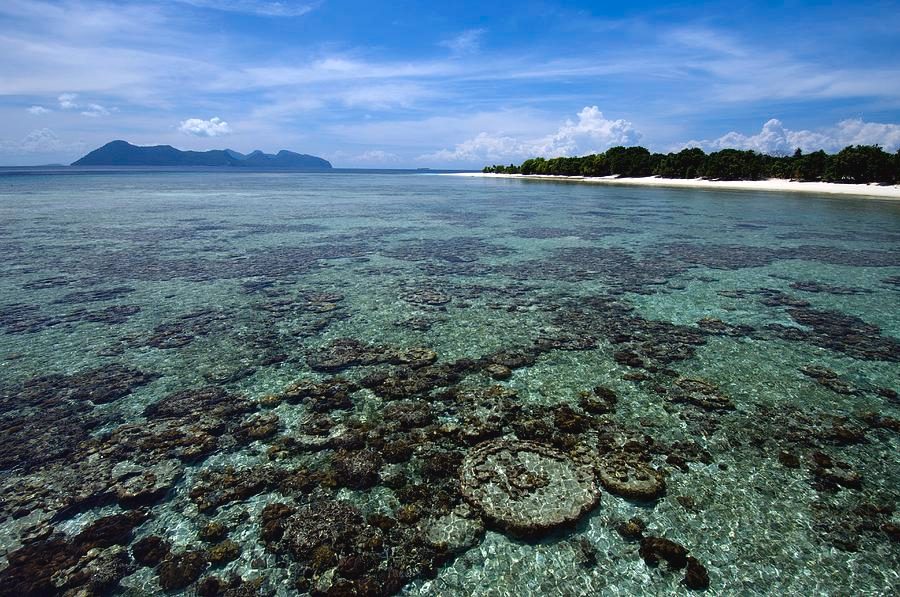 Angol Nearshore Reef