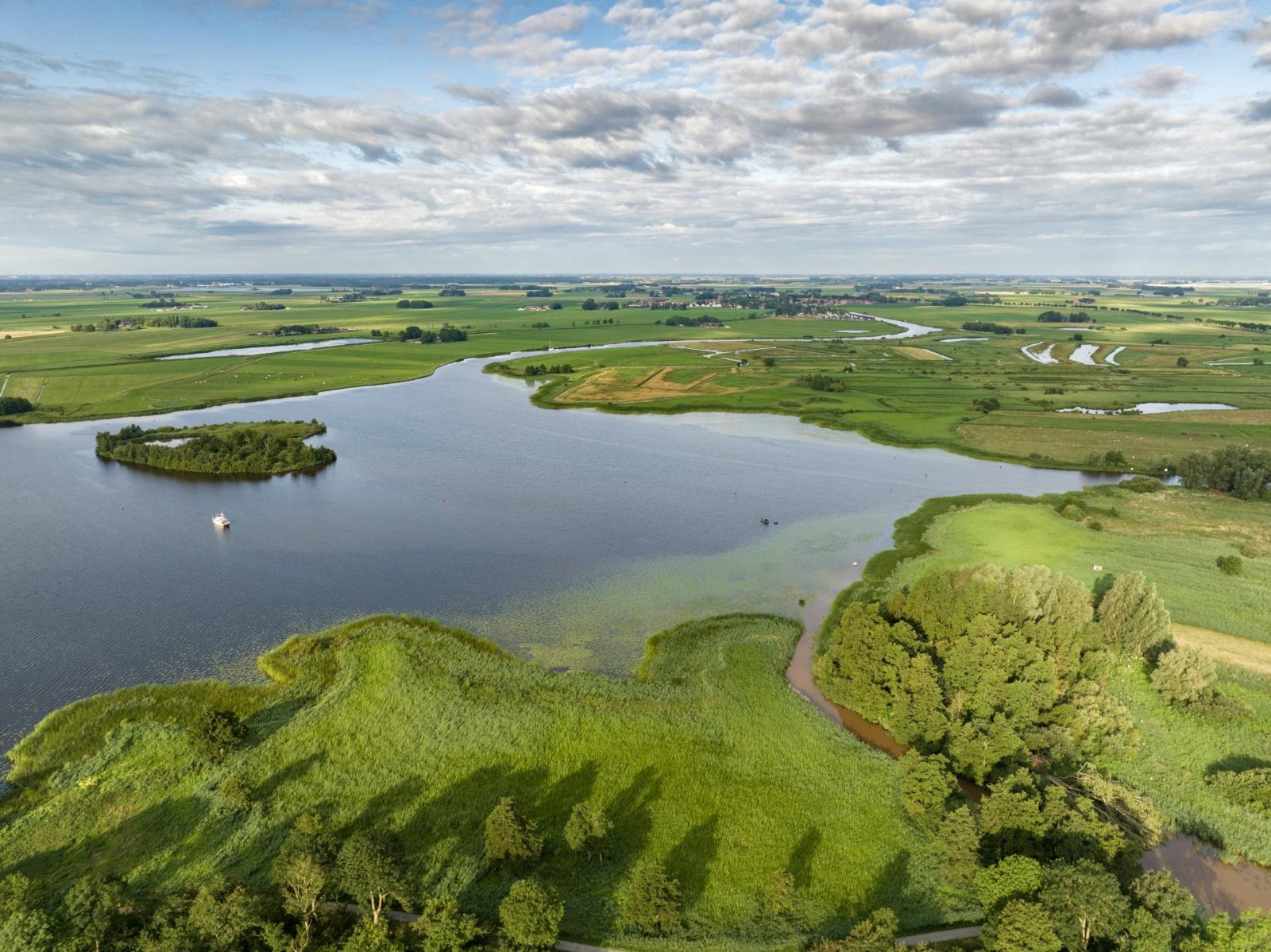 Weerribben-Wieden Reed Beds