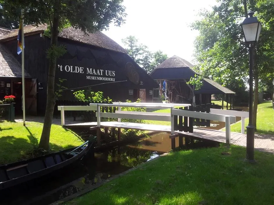 Visit a local museum