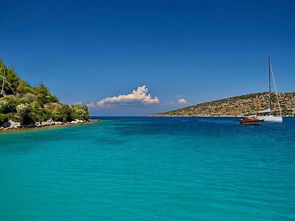Black Island Cove