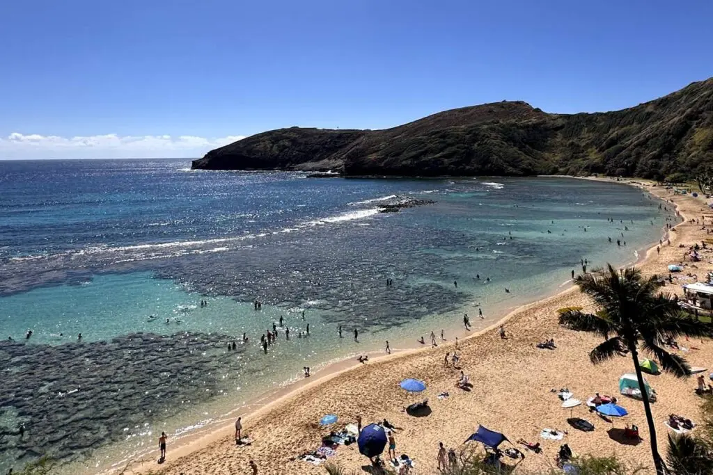 Hanauma Bay Beach Level