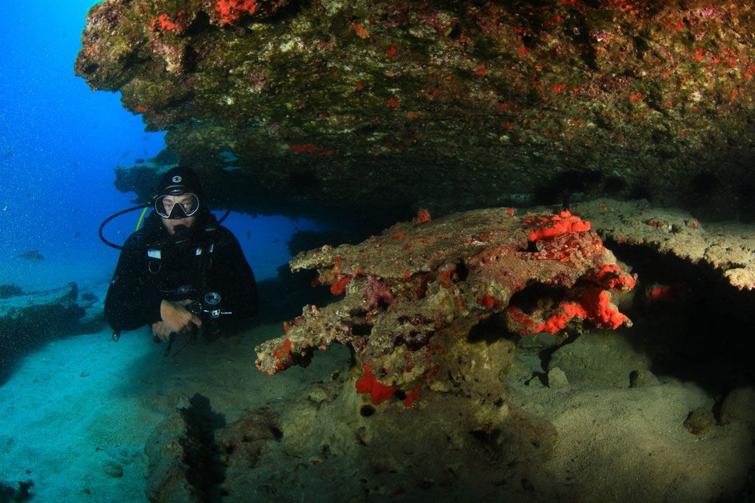 Scuba Diving Playa Blanca