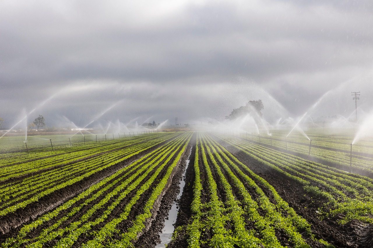 Traditional Water Systems