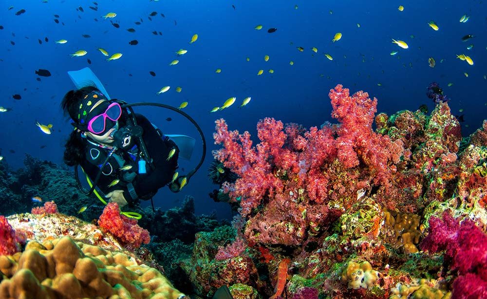 Scuba Diving Hurghada