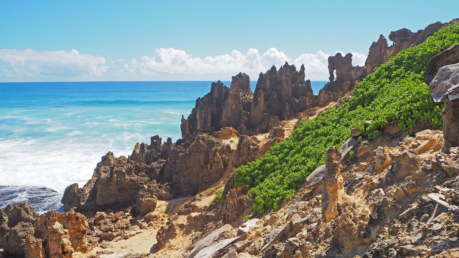 Shipwreck Wall