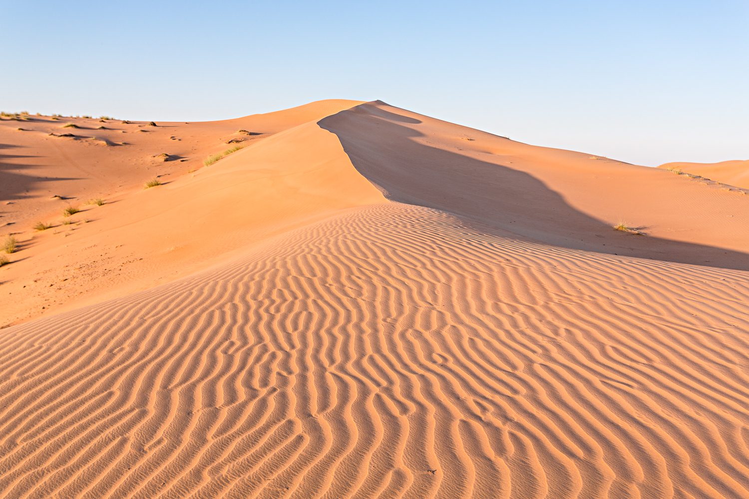 Ridge Line Corridor