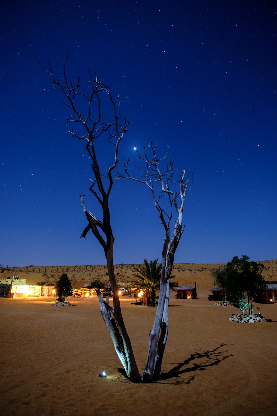 Campfire Terrace