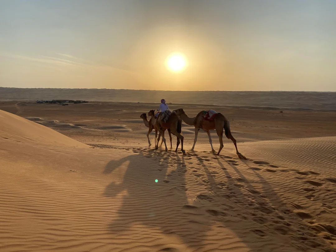 Desert Safari Oman