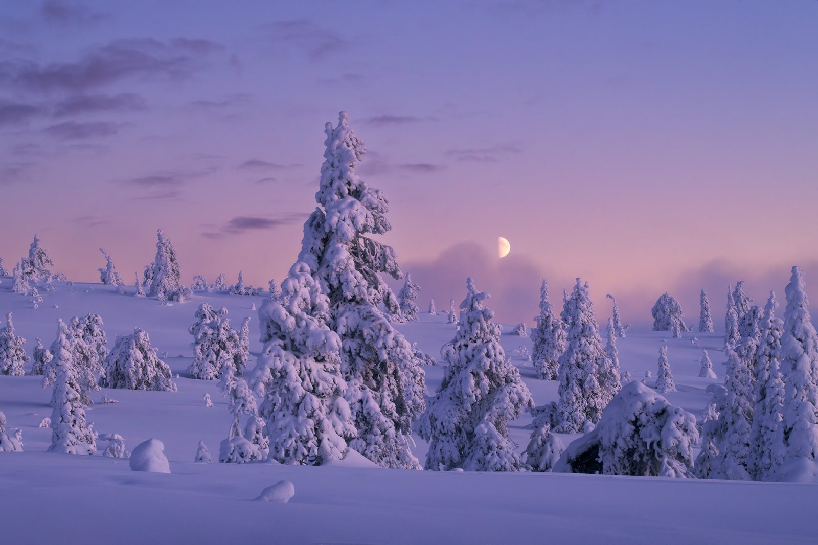 Riisitunturi National Park