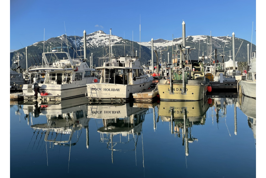 Downtown Harbor