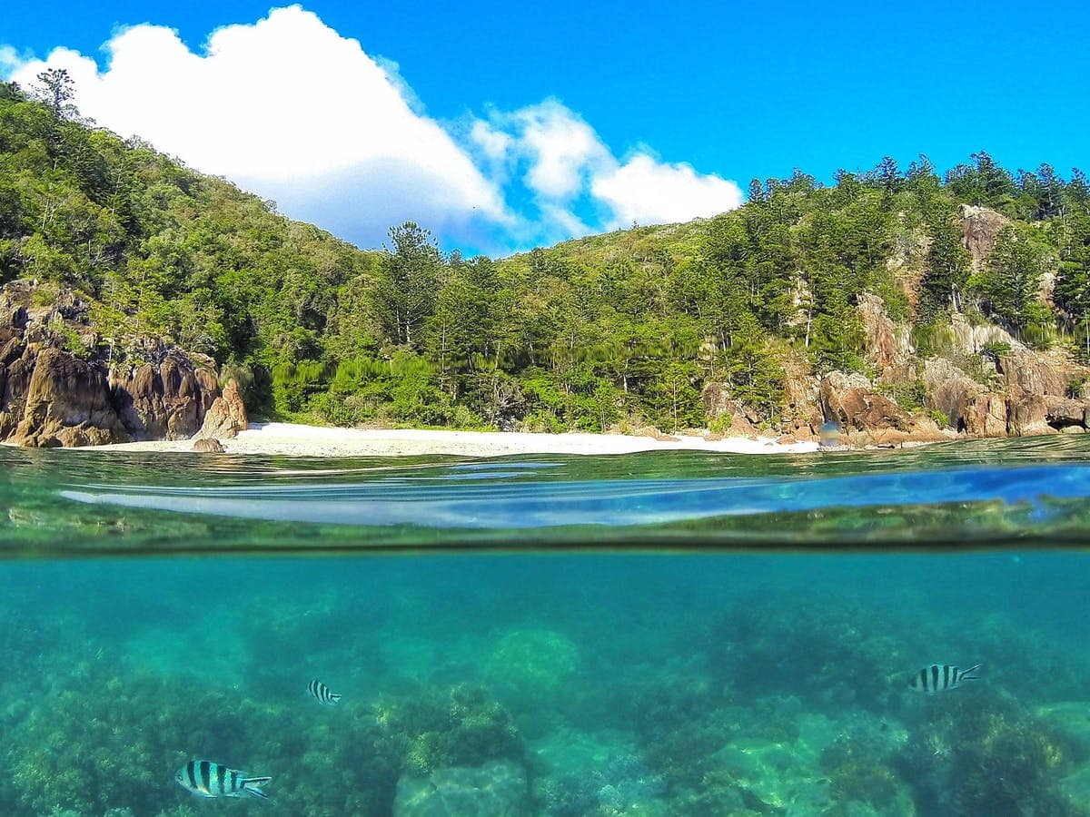 Hook Island