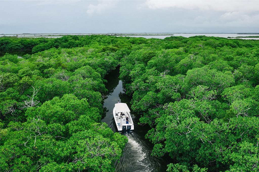 Bacalar Chico National Park