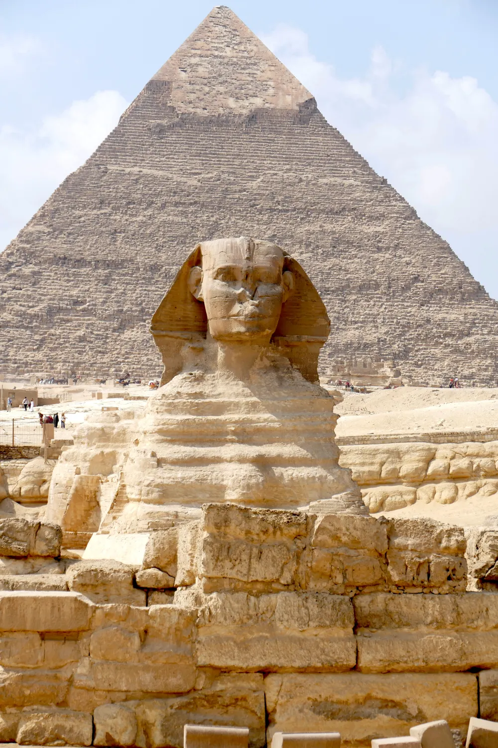 Sphinx Enclosure Viewing Terrace