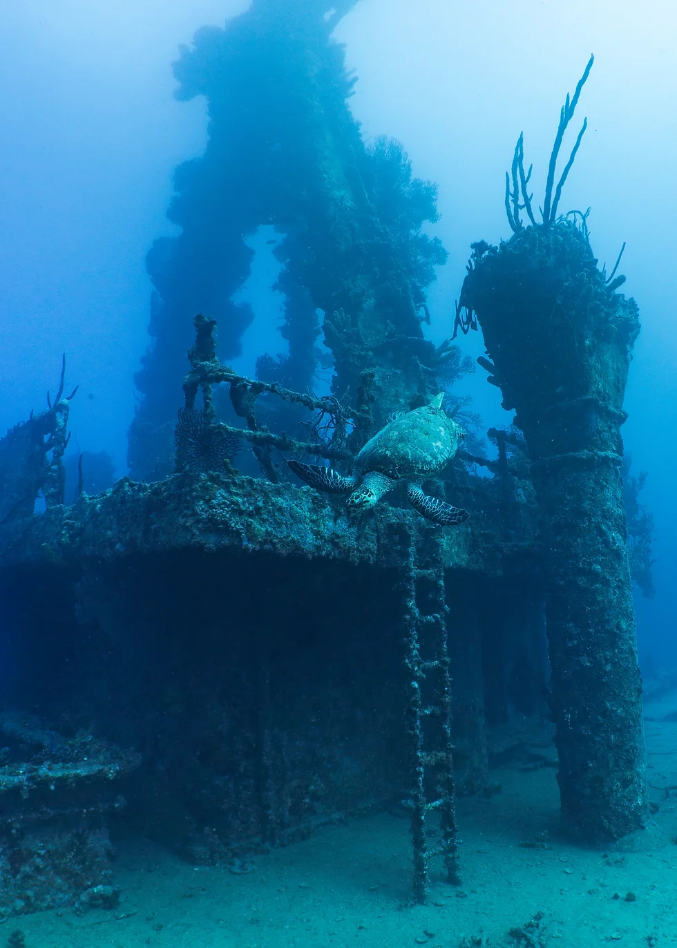Stavronikita Shipwreck