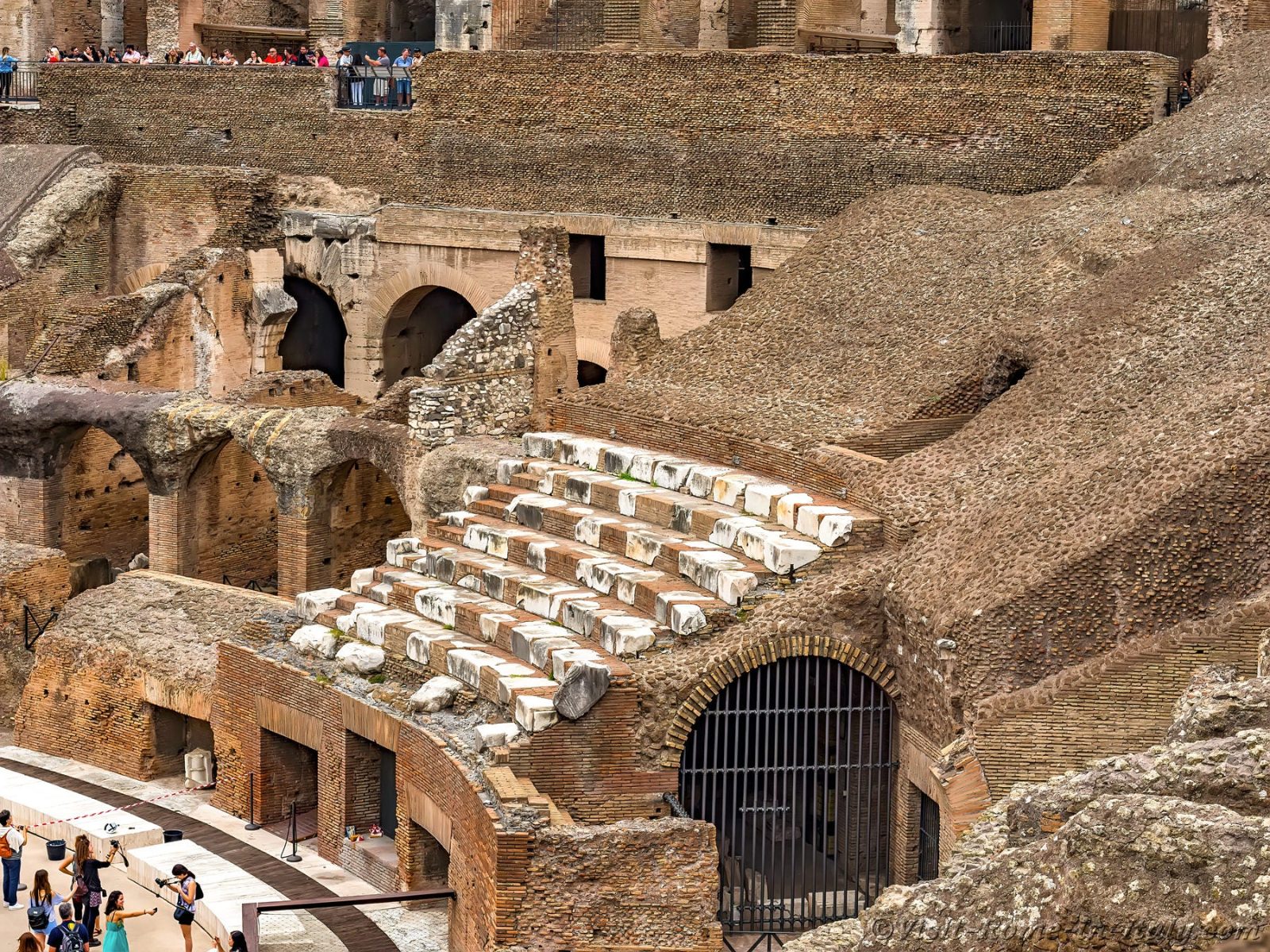 The Cavea