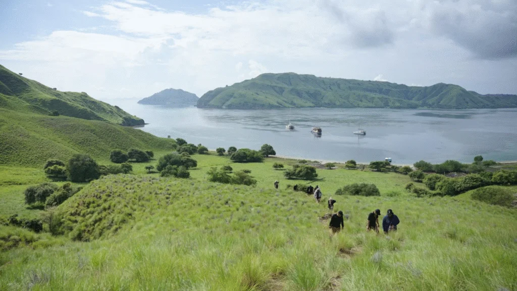 Rinca Island