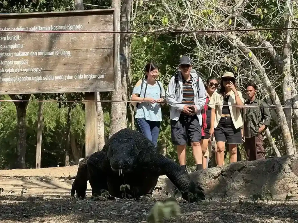 Komodo Tour From Bali