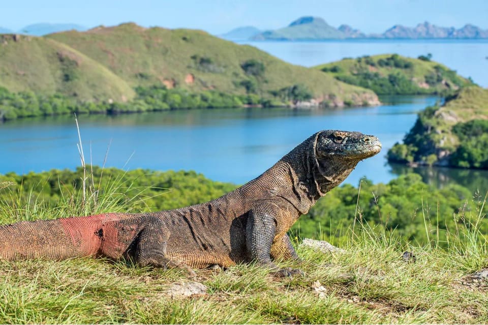 Komodo Island