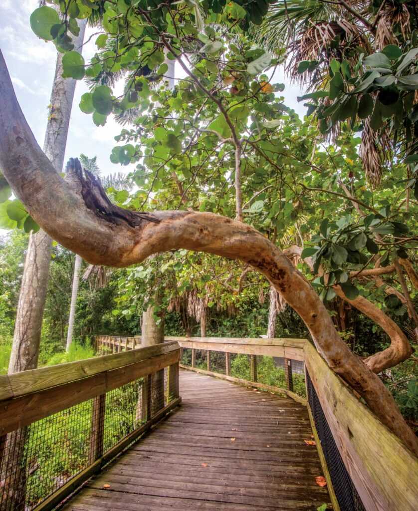 Hugh Taylor Birch State Park