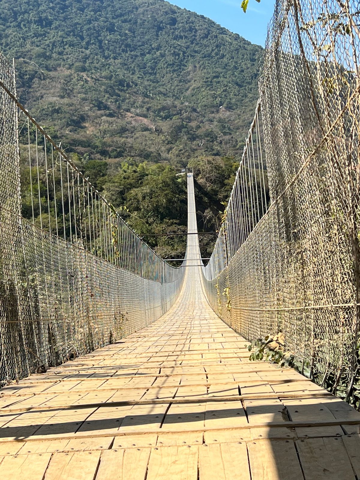 Jorullo Bridge Mid-Span