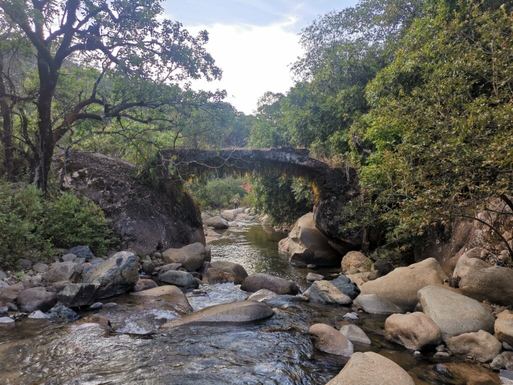 Cuale River Trails