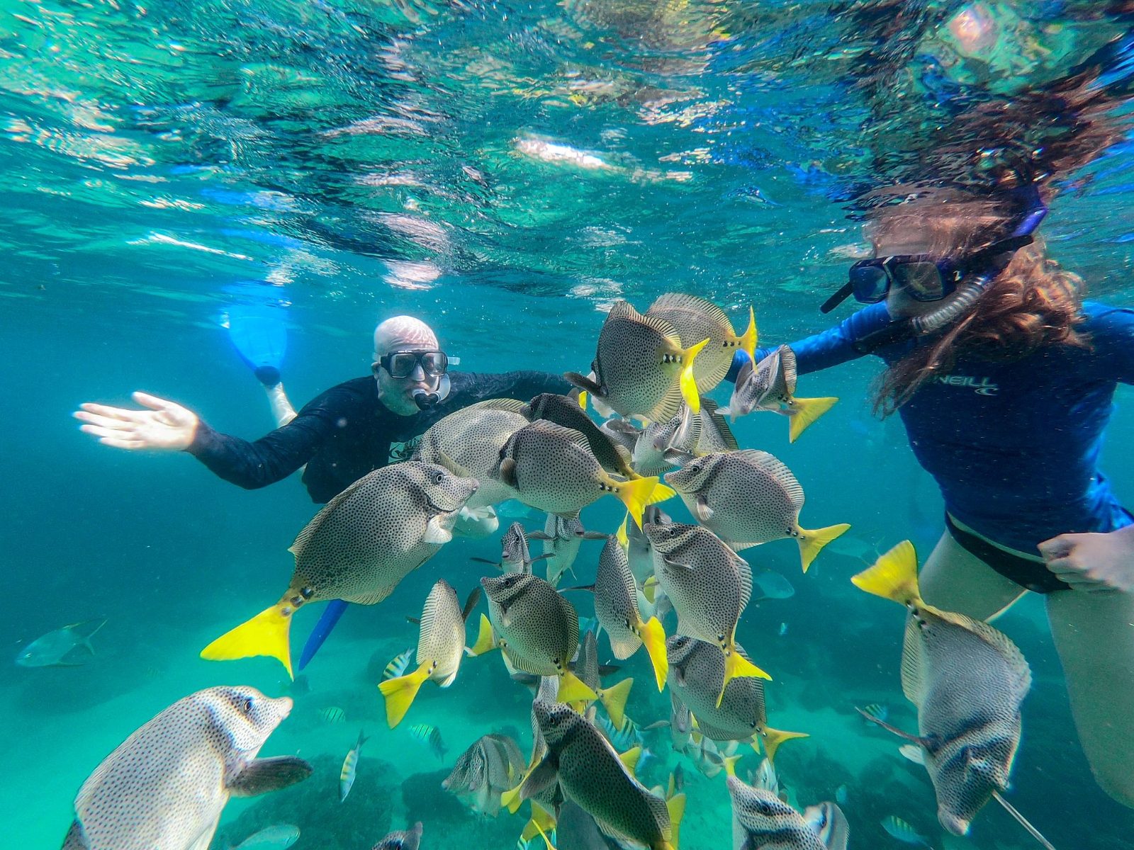 Private Boat Tour Cabo
