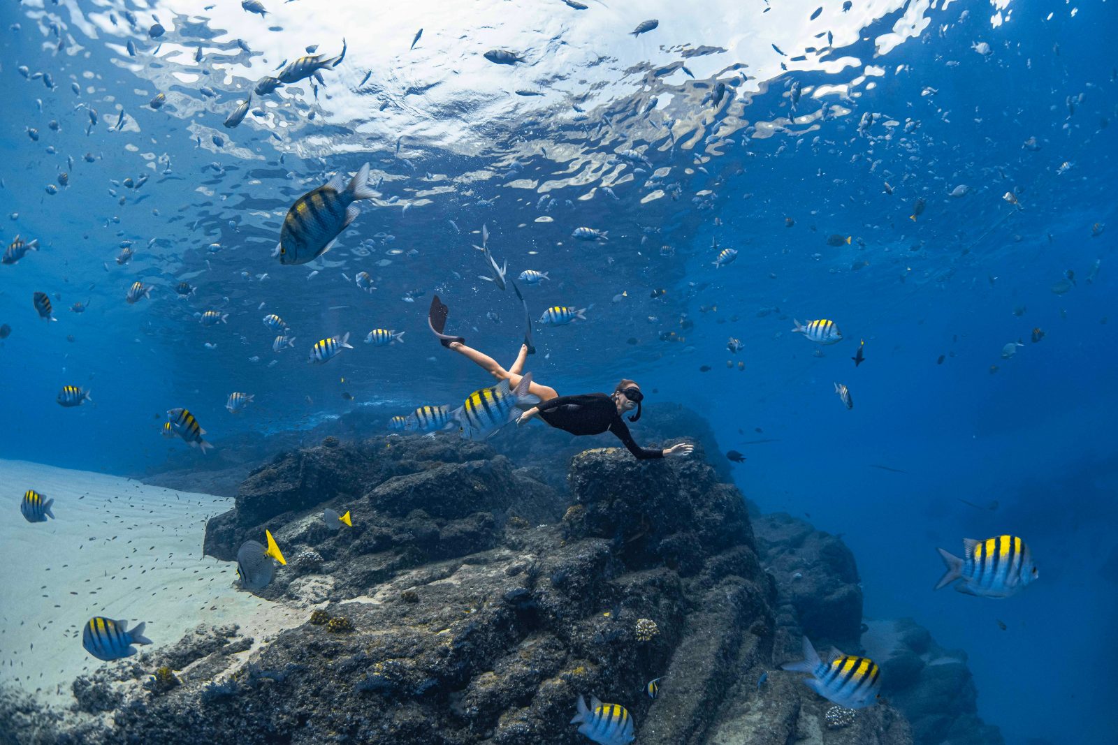 Private Snorkeling Tour Cabo San Lucas