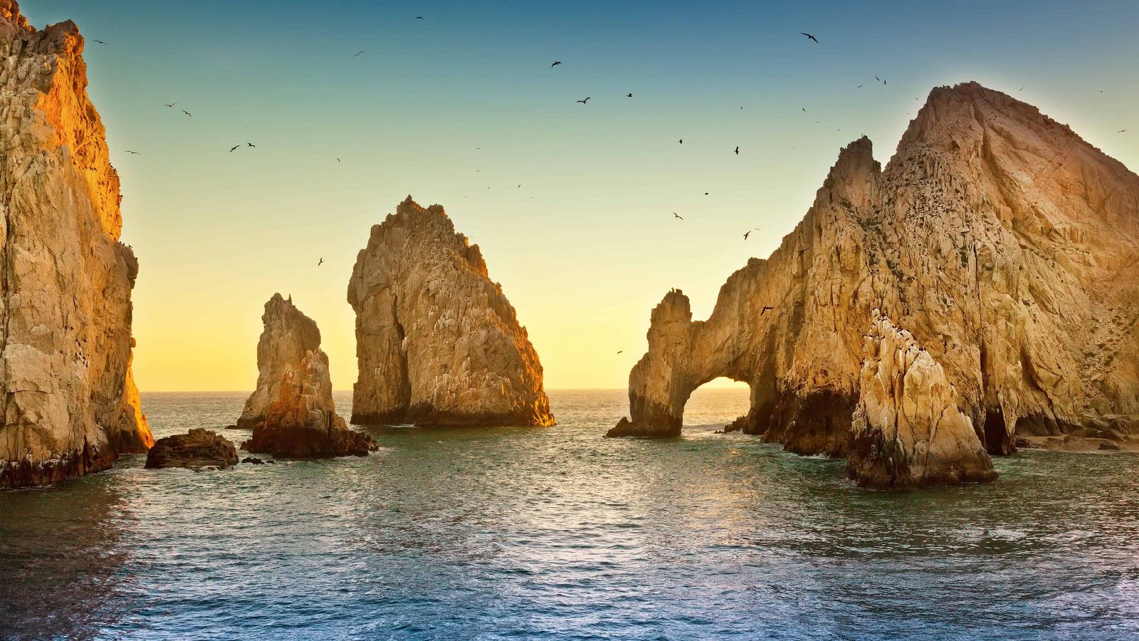 The Arch