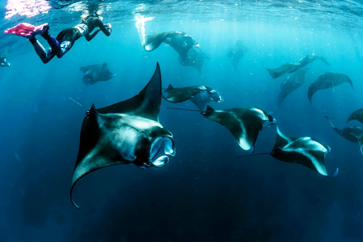 Underwater Interaction Zone