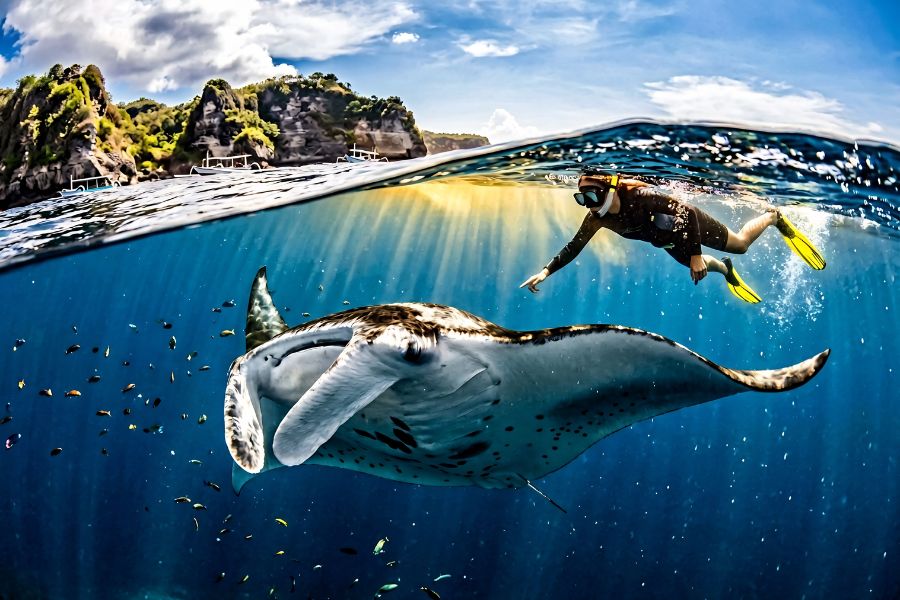 Manta Point Snorkeling From Nusa Penida