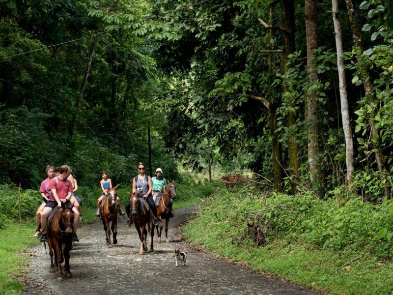 Horseback Riding Puerto Vallarta Beach