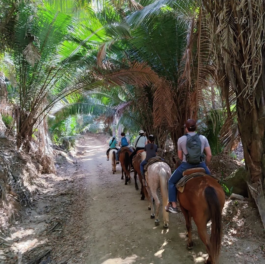 Sayulita Coastal Trail