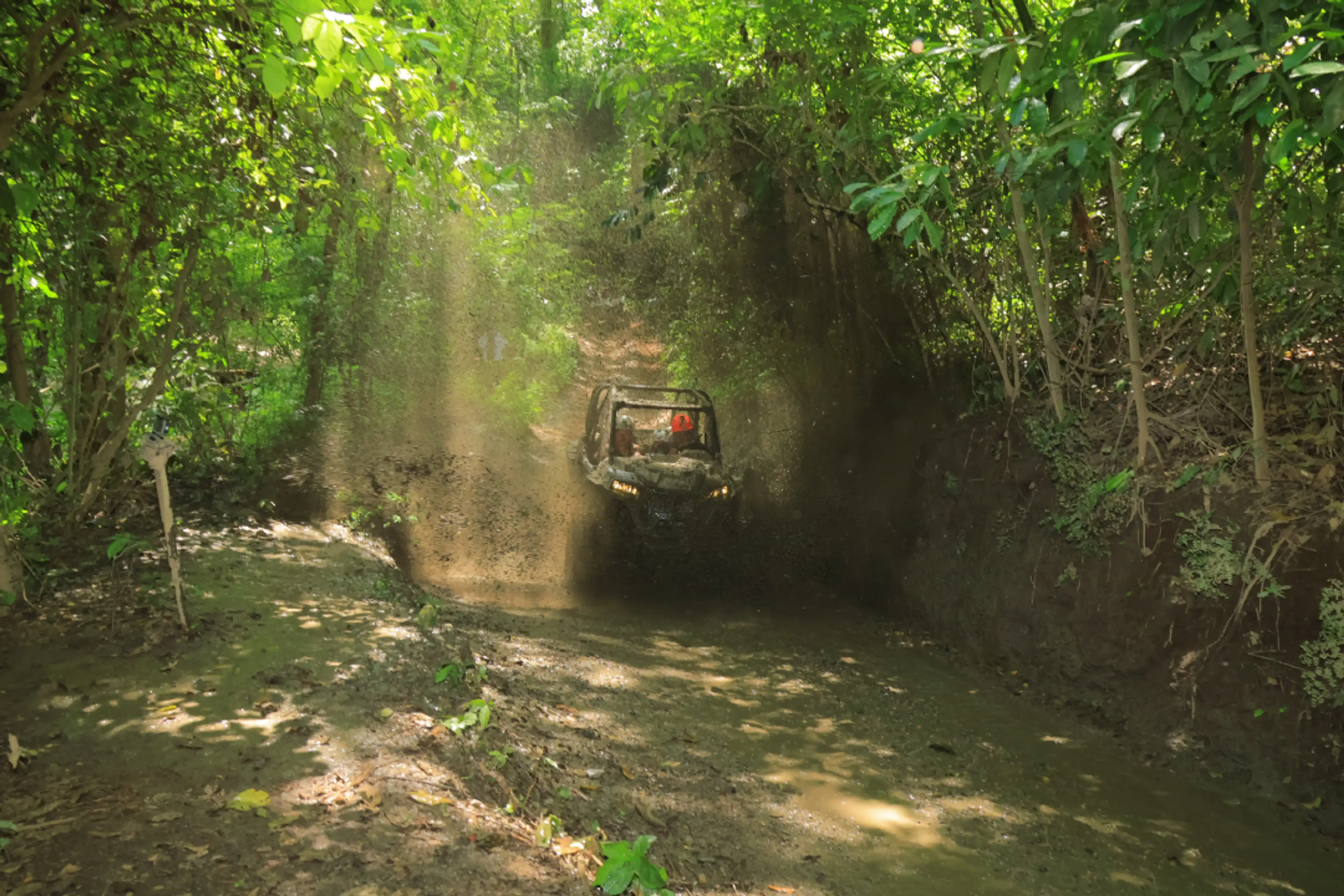 Mountain Stream Crossing